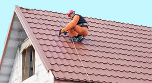 Roofing Systems & Accessories